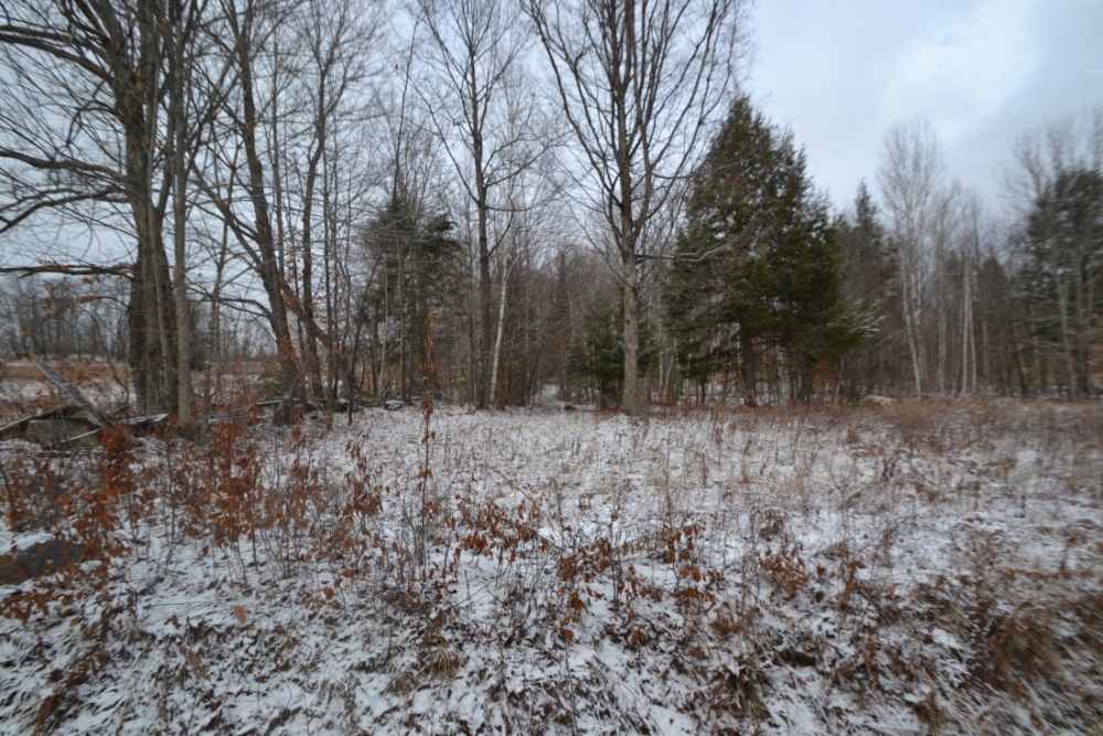 Pt Lt 20 A. Guy Wilson Road, Carlow Mayo Ontario, Canada