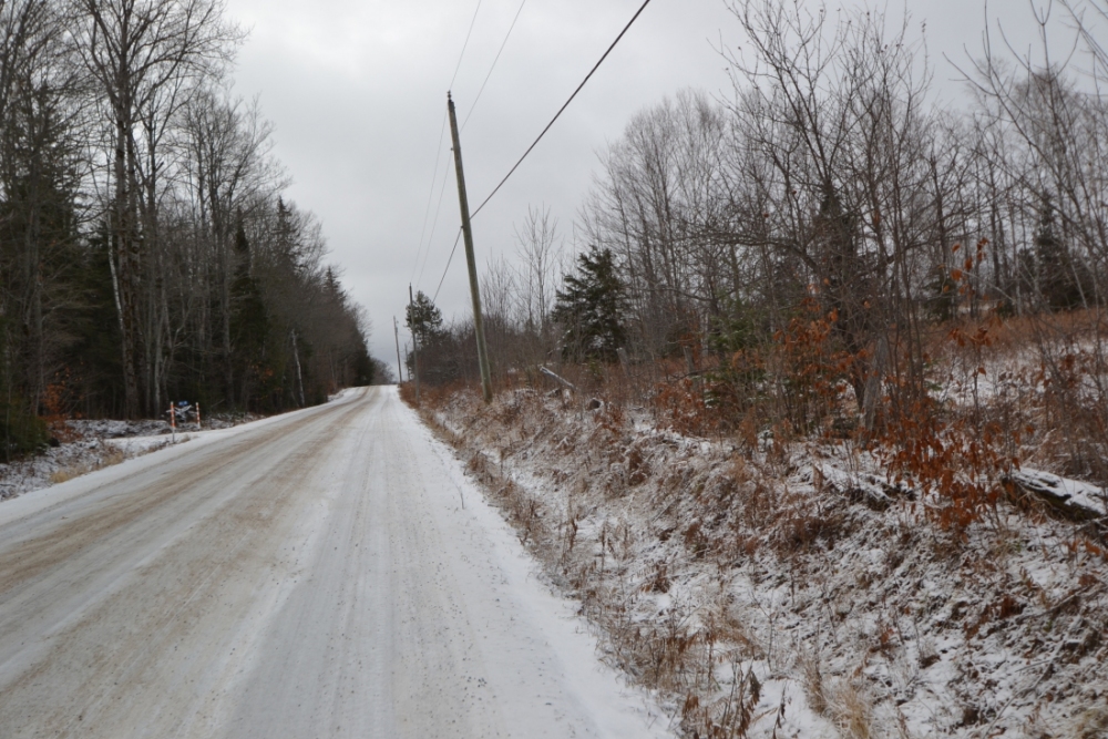Pt Lt 20 A. Guy Wilson Road, Carlow Mayo Ontario, Canada