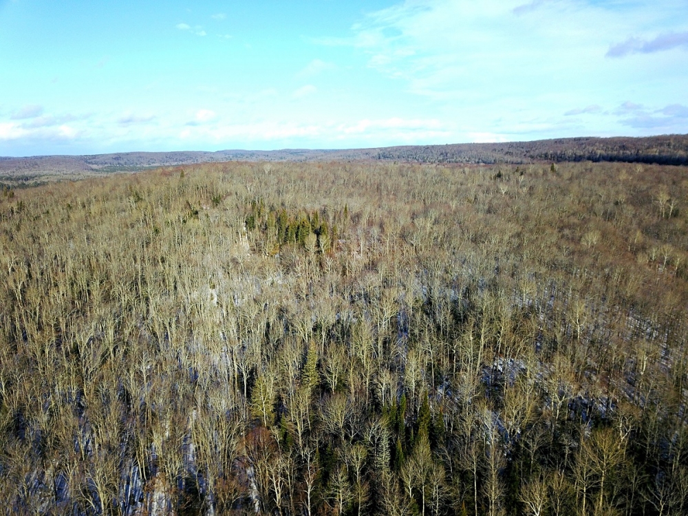 South Rd, Lake St. Peter Ontario, Canada