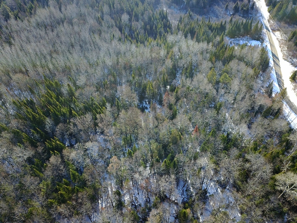 South Rd, Lake St. Peter Ontario, Canada