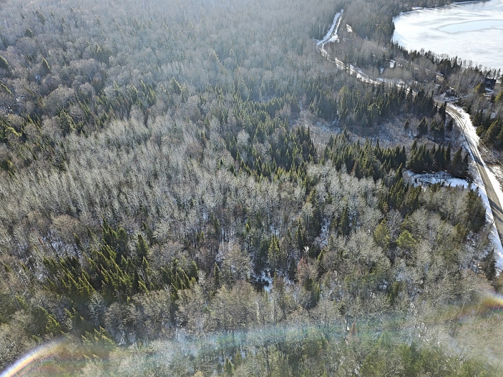 South Rd, Lake St. Peter Ontario, Canada