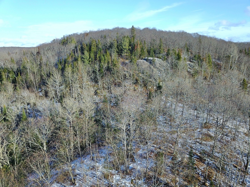 South Rd, Lake St. Peter Ontario, Canada