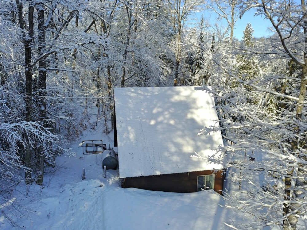 17 Carfrae Court
