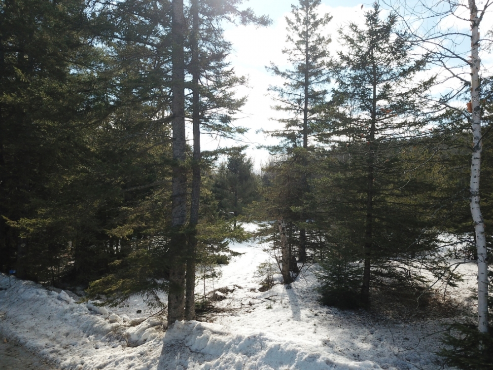 19 Pine Ridge Road, Bancroft Ontario, Canada