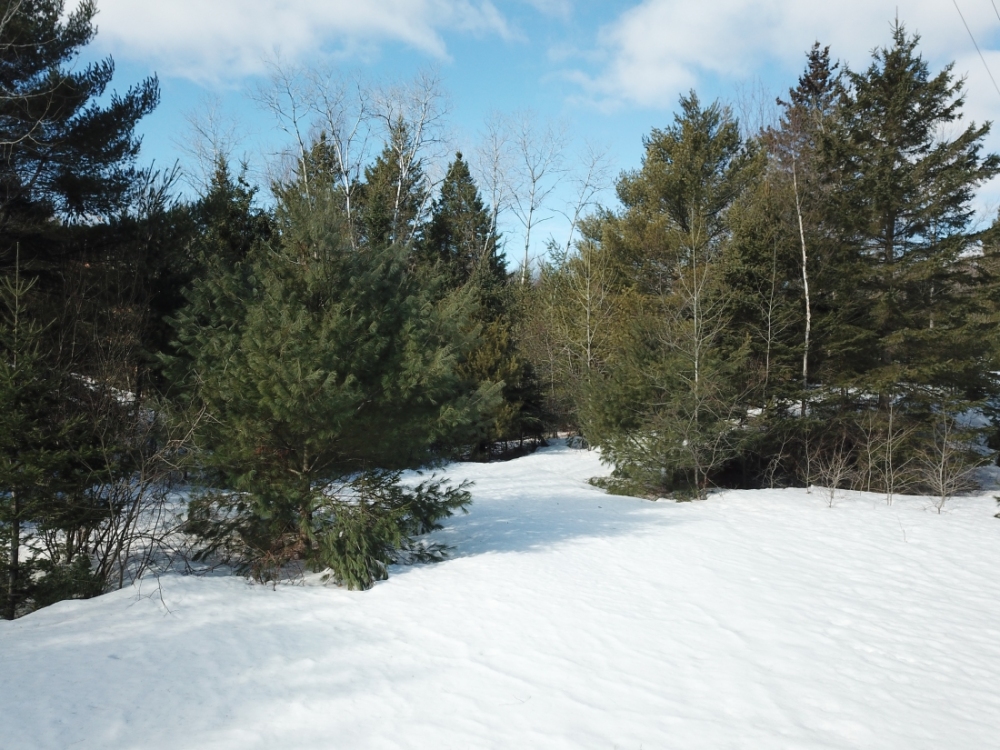 19 Pine Ridge Road, Bancroft Ontario, Canada
