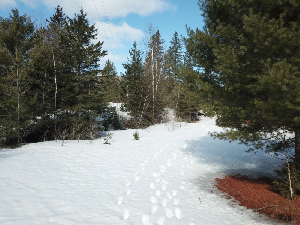 19 Pine Ridge Road, Bancroft Ontario, Canada