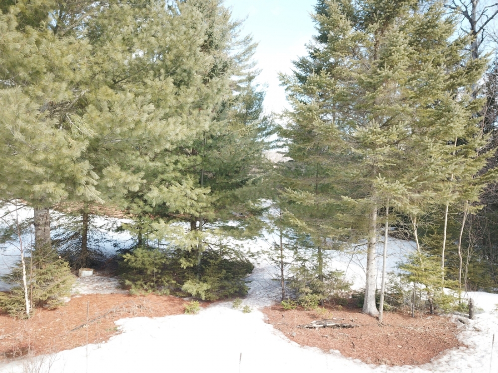 19 Pine Ridge Road, Bancroft Ontario, Canada