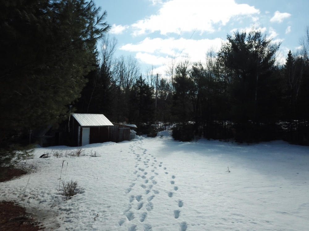 19 Pine Ridge Road, Bancroft Ontario, Canada