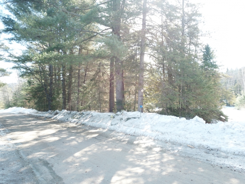 19 Pine Ridge Road, Bancroft Ontario, Canada