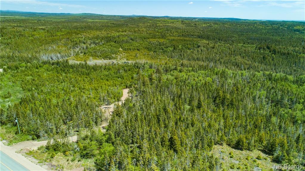 - Route 790 County Line Road, Maces Bay New Brunswick, Canada