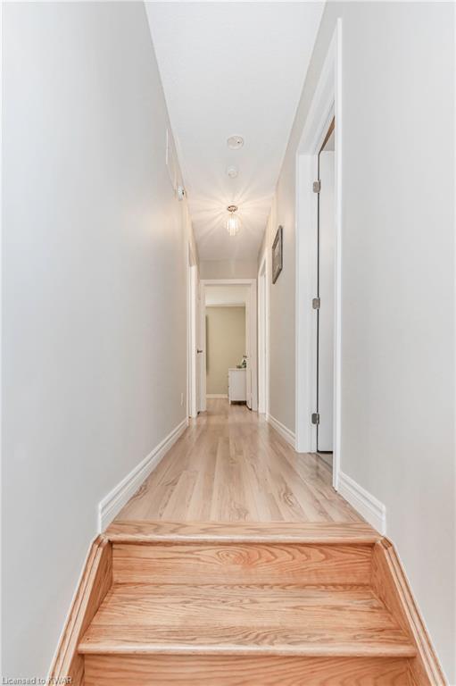 53 BRIARFIELD Street, Kitchener, Ontario, Canada photo 17