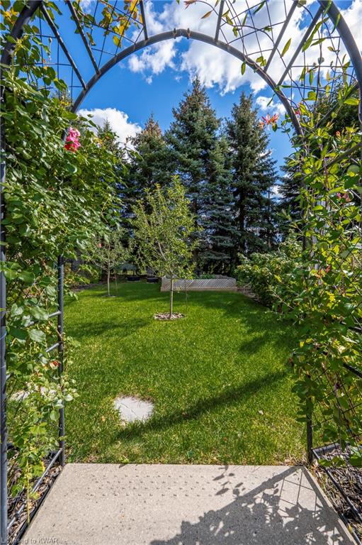 53 BRIARFIELD Street, Kitchener, Ontario, Canada photo 33