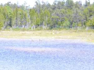 745 DORCAS BAY RD,ST. EDMUNDS TWP/ LAKE HURON
