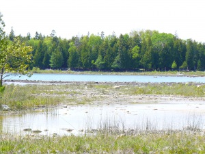 745 DORCAS BAY RD,ST. EDMUNDS TWP/ LAKE HURON