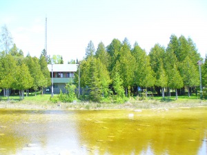 745 DORCAS BAY RD,ST. EDMUNDS TWP/ LAKE HURON