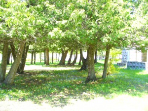 745 DORCAS BAY RD,ST. EDMUNDS TWP/ LAKE HURON