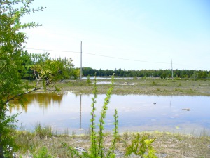 745 DORCAS BAY RD,ST. EDMUNDS TWP/ LAKE HURON