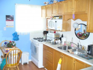680 FRANK ST., Wiarton, Ontario, Canada