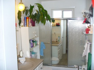 680 FRANK ST., Wiarton, Ontario, Canada