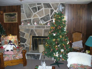 680 FRANK ST., Wiarton, Ontario, Canada