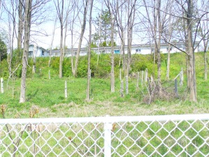 431 Rankin Dr., Southampton, Ontario, Canada
