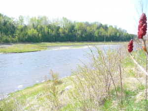 431 Rankin Dr., Southampton, Ontario, Canada