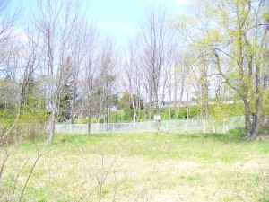 431 Rankin Dr., Southampton, Ontario, Canada