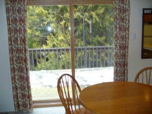 100 Jenny st., Wiarton, Ontario, Canada