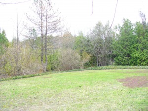 100 Jenny st., Wiarton, Ontario, Canada