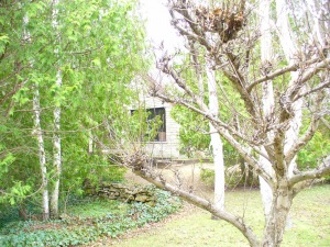 100 Jenny st., Wiarton, Ontario, Canada