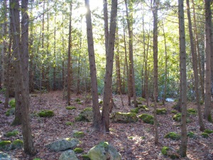 147 NORTH DIAGONAL RD, Clavering, Ontario, Canada