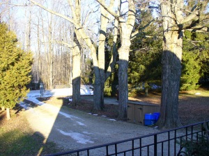 147 NORTH DIAGONAL RD, Clavering, Ontario, Canada