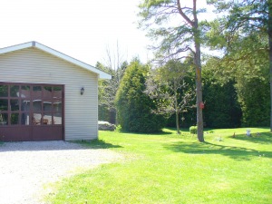 147 NORTH DIAGONAL RD, Clavering, Ontario, Canada