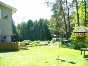 147 NORTH DIAGONAL RD, Clavering, Ontario, Canada