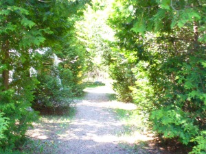 147 NORTH DIAGONAL RD, Clavering, Ontario, Canada