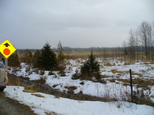 PART LOT 25 BURMA RD, Ferndale, Ontario, Canada