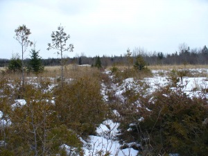 PART LOT 25 BURMA RD, Ferndale, Ontario, Canada