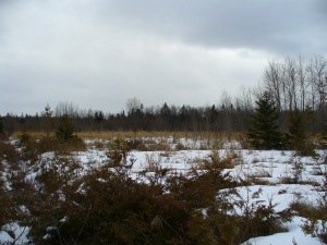 PART LOT 25 BURMA RD, Ferndale, Ontario, Canada