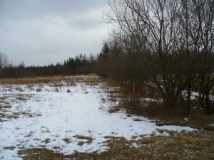 PART LOT 25 BURMA RD, Ferndale, Ontario, Canada
