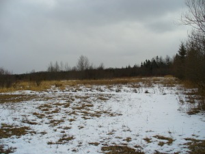 PART LOT 25 BURMA RD, Ferndale, Ontario, Canada