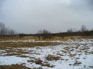 PART LOT 25 BURMA RD, Ferndale, Ontario, Canada