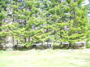 14 JEWEL BRIDGE RD, Sauble Beach, Ontario, Canada