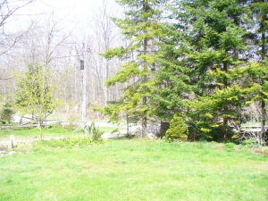 14 JEWEL BRIDGE RD, Sauble Beach, Ontario, Canada