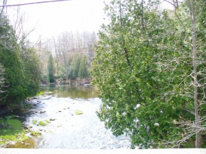 14 JEWEL BRIDGE RD, Sauble Beach, Ontario, Canada