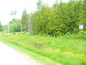 14 SUNSET BLVD, Wiarton, Ontario, Canada
