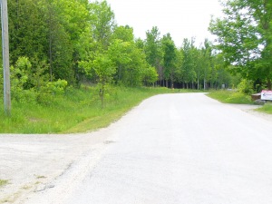 14 SUNSET BLVD, Wiarton, Ontario, Canada
