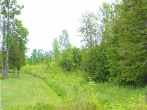 14 SUNSET BLVD, Wiarton, Ontario, Canada