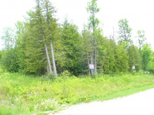14 SUNSET BLVD, Wiarton, Ontario, Canada