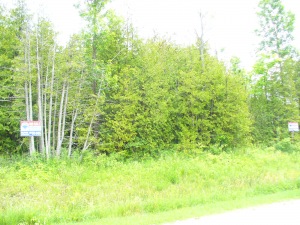 14 SUNSET BLVD, Wiarton, Ontario, Canada
