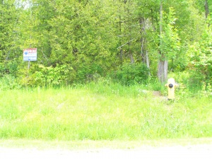 14 SUNSET BLVD, Wiarton, Ontario, Canada